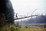 В.Фаст