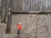 Родион, внук Татьяны Гребневой